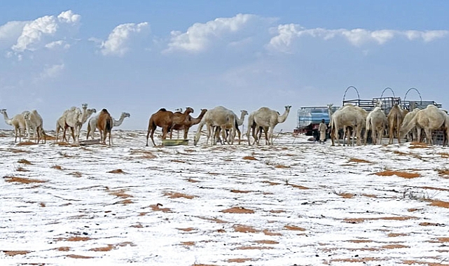 Suudi Arabistan Tabuk’ta El-Lavz Dağına Kar Yağdı