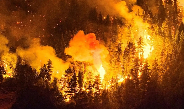 Arjantin'de Orman Yangınlarını İşgalci Siyonistlerin Çıkardığı İddiası