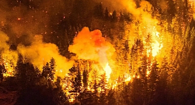 Arjantin'de Orman Yangınlarını İşgalci Siyonistlerin Çıkardığı İddiası