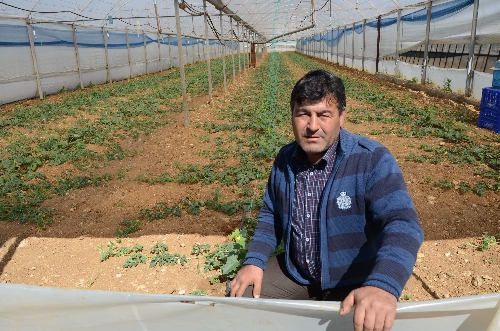 2B'de yüzde 50 indirim tatmin etmedi
