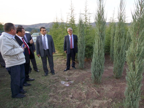 30 milyon fidan toprakla buluşuyor