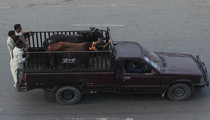 Pakistan'da Kurban Bayramı bugün başladı