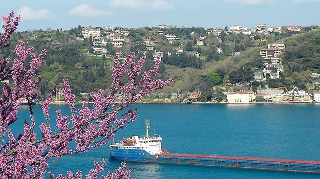 İstanbul'un yüzde 49'u orman