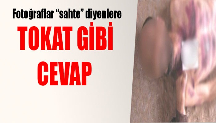 Vahşet fotoğrafları gerçek işkence de sabit