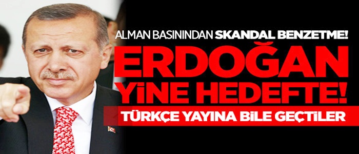 Almanlar, Türkleri bir araya getiren Erdoğan'dan rahatsız