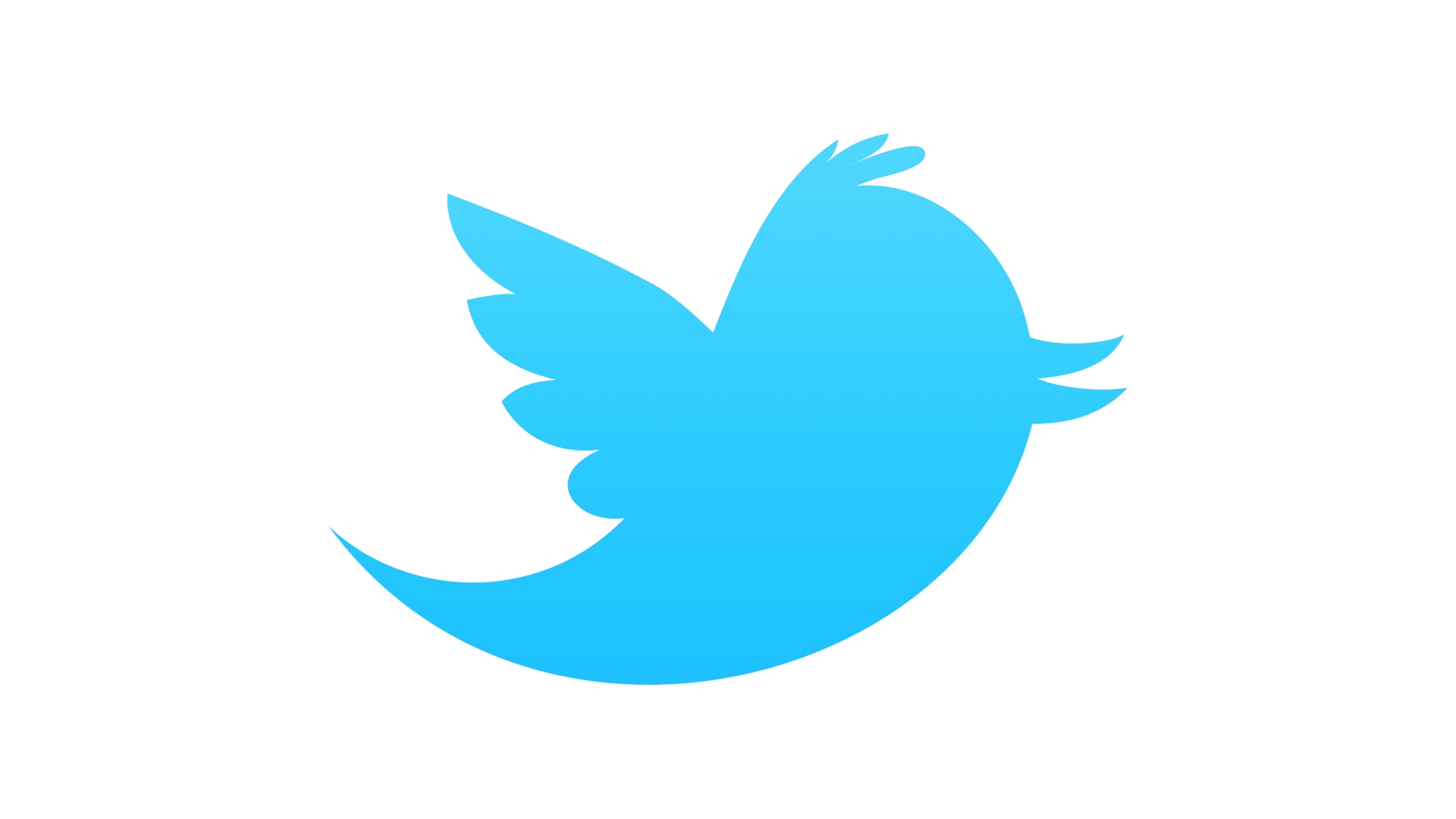 Twitter'dan EURO 2012 için özel sayfa