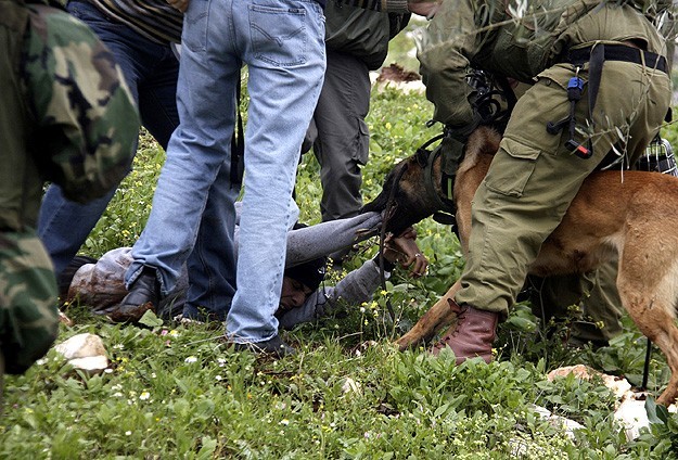 İsrail köpekli işkenceyi geçici olarak durdurdu