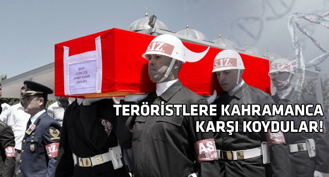 Şehitlerin naaşları DNA ile belirlenecek