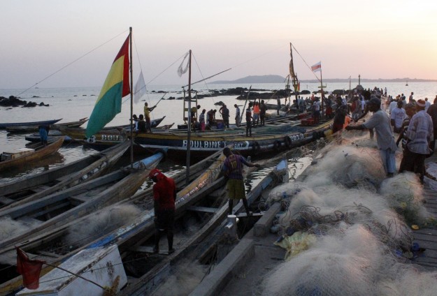 Gine'de Ebola salgını