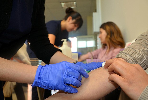 Kan bağışçıları 1,5 milyon fidana hayat verdi