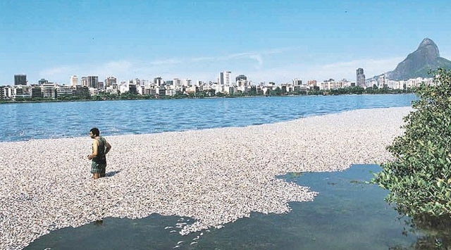 12 bin ton balık telef oldu