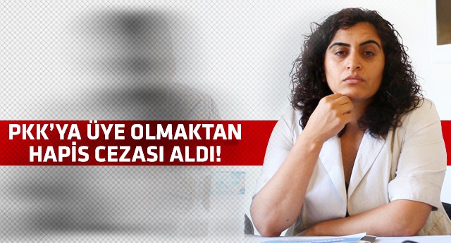 Sebahat Tuncel'e 8 yıl 9 ay hapis cezası