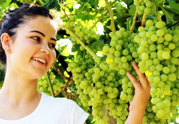 Türk üzümü ''kimlik kazandı''