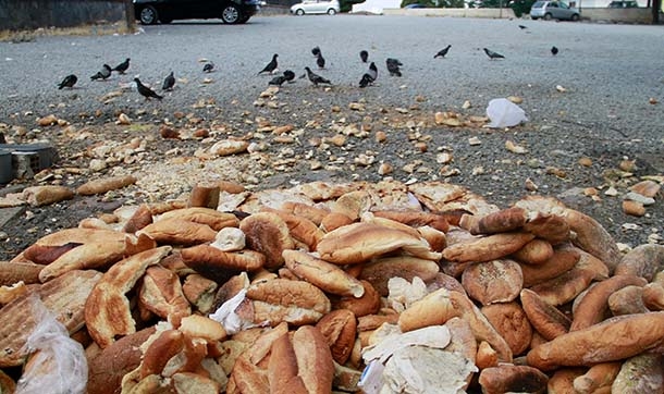 Türkiye'de günde 6 milyon adet ekmek çöpe gidiyor