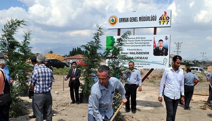 Şehit Ömer Halisdemir'in adı hatıra ormanında yaşatılacak