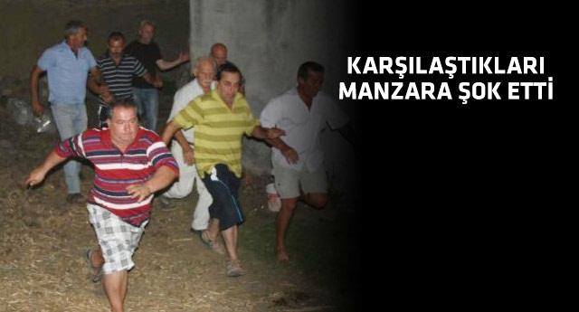 Altınova'yı karıştıran boğa saldırısı
