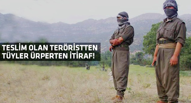 PKK'nın sır gibi sakladığı korkunç plan!