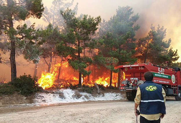 Bahçede başladı ormana sıçradı