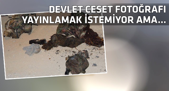 Demirtaş bu soruya cevap veremez!