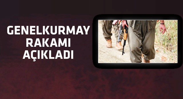 İşte 7 ayda öldürülen PKK'lı terörist sayısı