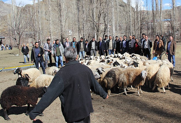 Erzurum'da "sürü yönetim" kursu verildi
