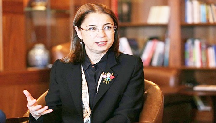 Yurt dışındaki Türkler için temsilcilikler açılacak'