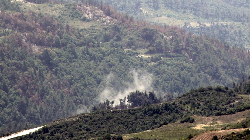 Esed güçleri Türkmendağı'nda bir köyün kontrolünü ele geçirdi