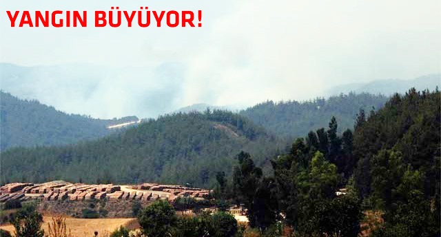 Suriye sınırındaki yangın büyüyor!