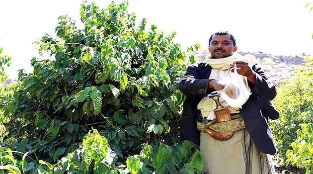 Kahve yeniden Yemen'den gelecek