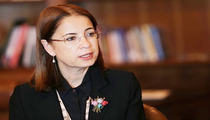 Bakan İslam'dan "Darülaceze iddialarına" açıklama