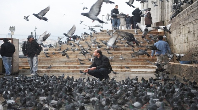 Çocuklara oyun, yaşlılara uçup giden ömrü hatırlatır güvercinler