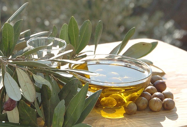 Zeytin ve zeytinyağı fiyatı üreticiyi sevindirdi
