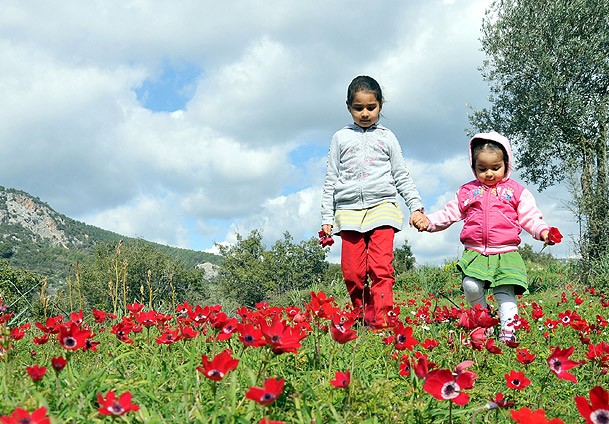 İlk cemre yarın düşecek