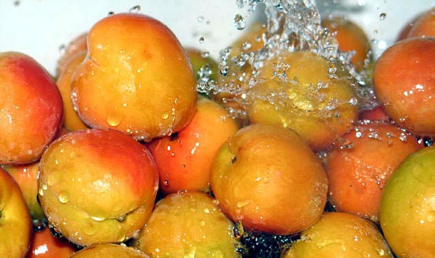Kayısıda yüzde 60'a varan oranda ürün kaybı bekleniyor