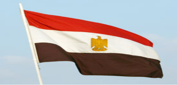Mısır Kültür Bakanı Arab istifa etti