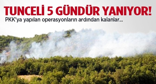 Tunceli 5 gündür yanıyor