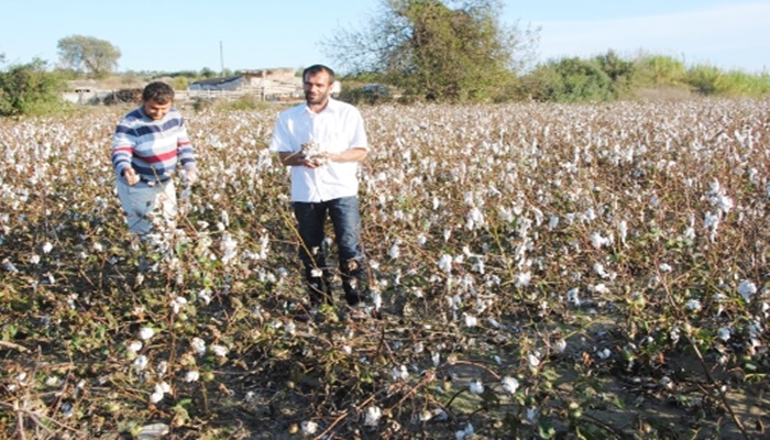 Sel felaketinde 7 bin 768 dekar tarım arazisi zarar gördü