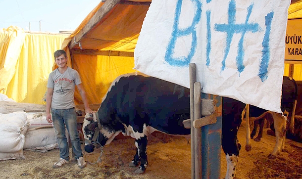 Kurbanlıklar erken bitti