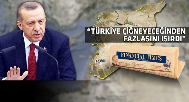 İngiliz yazardan Erdoğan'ı Kızdıracak analiz