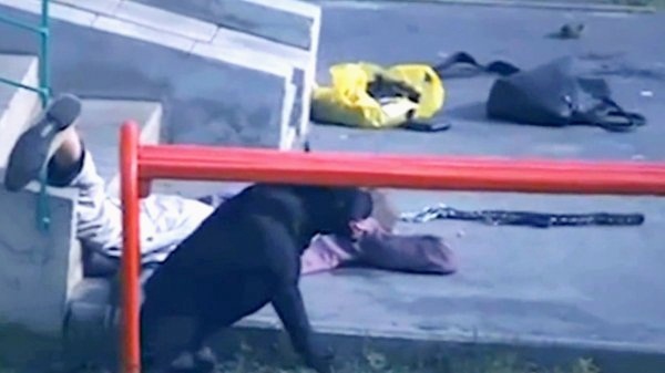 Rusya'da köpek sokak ortasında dehşet saçtı!
