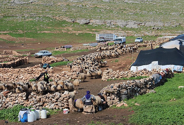 Göçerlerin sorunlarını Meclise taşıyacak