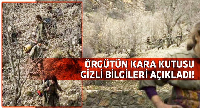 PKK'nın başına Esed'in ajanı