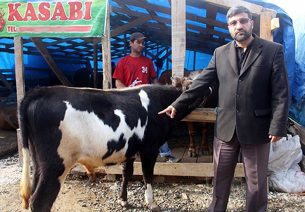 Kurbanlık dananın sırtında Allah yazısı