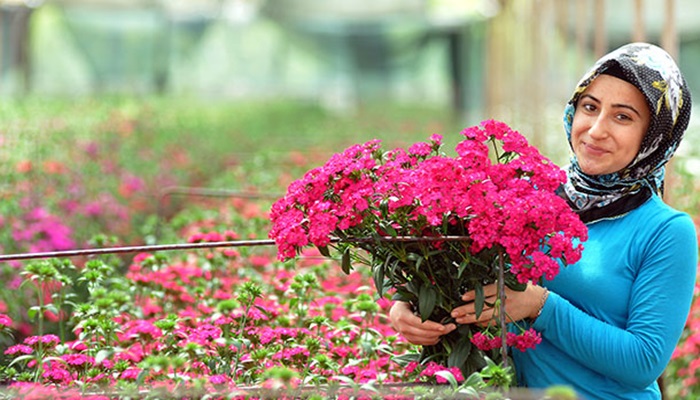 Çiçekte teşvik yanlışı: Üretim merkezlerine yok, üretmeyen yerlere var