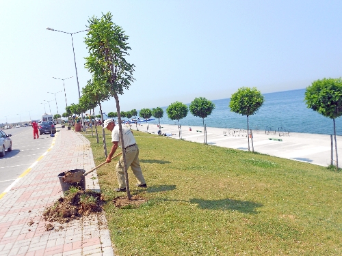 Beylikdüzü sahili festivale hazır
