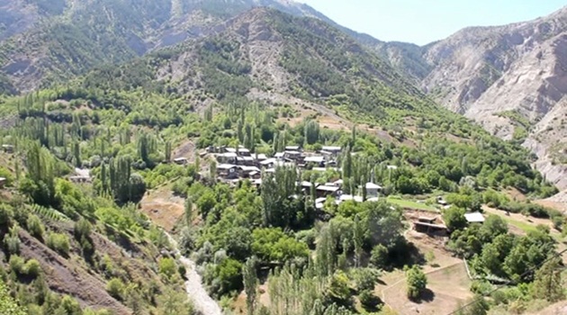 Köyü Pireler Bastı