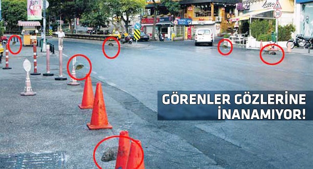 İstanbul'un ünlü semtini dev fareler bastı!