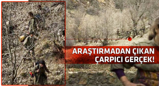 PKK'ya katılımın en yüksek olduğu il