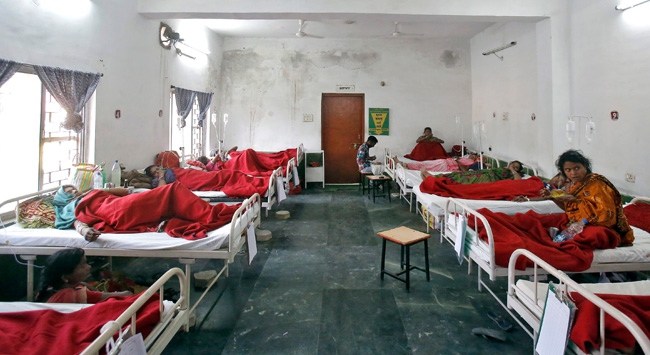 Kısırlaştırma ameliyatı yapan doktor yakalandı