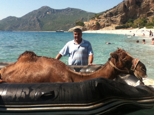 Ölüdeniz'de şişme botla deve kurtarma operasyonu